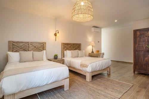 Posada Casa Pandurata - Double Room Wifi AC Heat - New