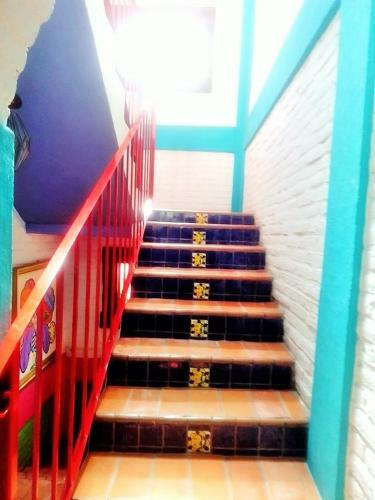 Hostal Casa Rosa Mexiquito - Guest House