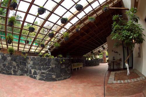 Y�-tenancingo
