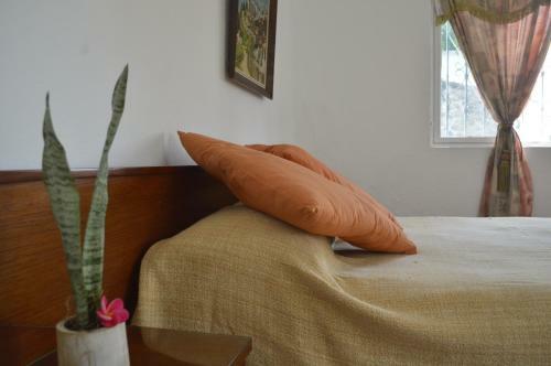 Hostal Bungalow Privado Al Pie Del Lago
