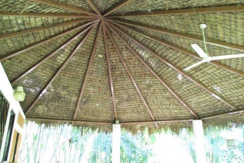 Casa De Campo Los D�lmatas