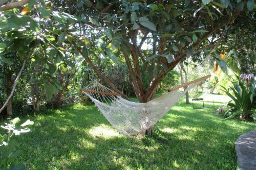 Casa De Campo Los D�lmatas