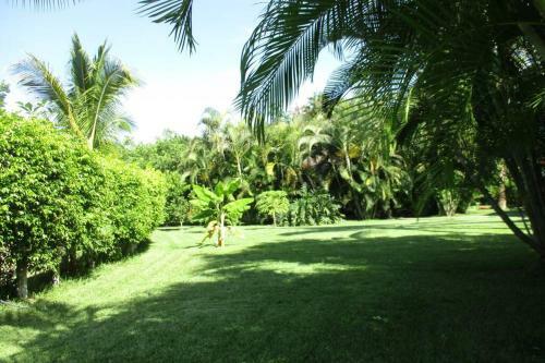 Casa De Campo Los D�lmatas