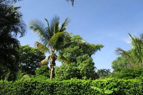 Casa De Campo Los D�lmatas