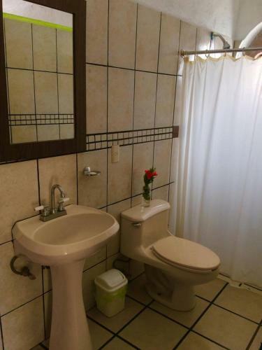 Hostal Ekko Hostel