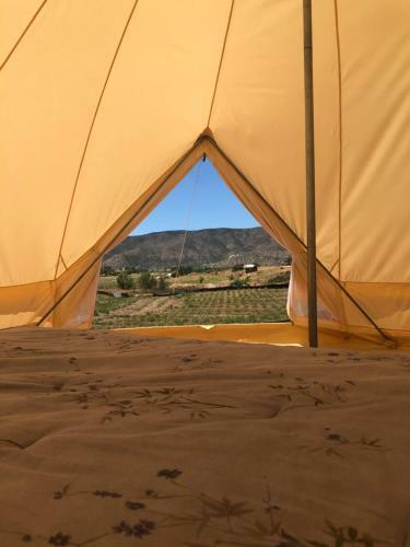 Lago Valle Wine Glamping