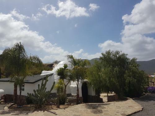 Lodge Hacienda Eco-domes