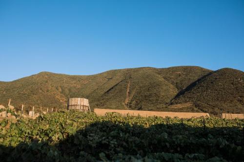 Bed & Breakfast Uvauva Eco-retreat