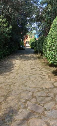 Lodge Hm Caba�as de Lujo Avandaro