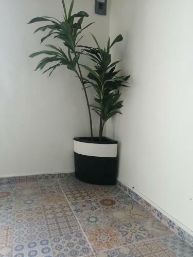 Apartamento Casa Mama Bety