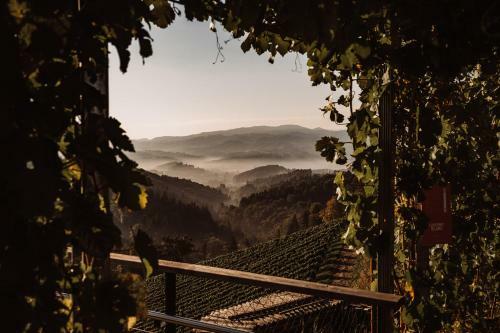 Agroturismo Weingut Kollerhof Am Eichberg