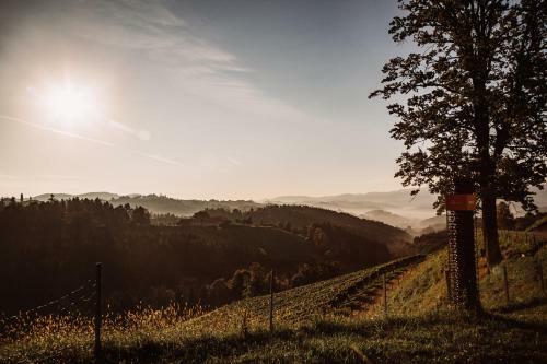 Agroturismo Weingut Kollerhof Am Eichberg