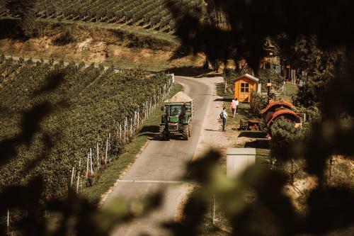 Agroturismo Weingut Kollerhof Am Eichberg