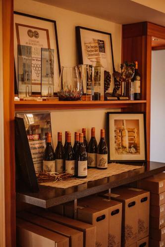 Agroturismo Weingut Kollerhof Am Eichberg