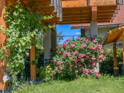 Apartment Appartement Ligist