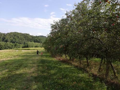 Apartamento Sonnenhof