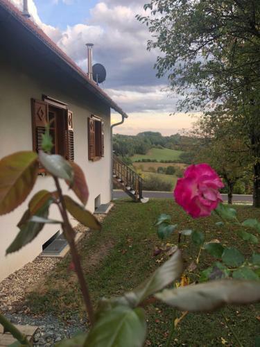 Apartamento Sonnenhof