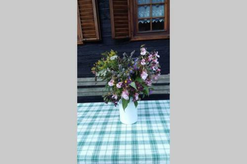 Gem�tliches Ferienhaus Im Ennstal