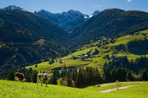 Apartamento Haus Strieder - Obergail