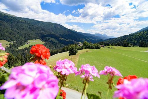 Agroturismo Gailerhof