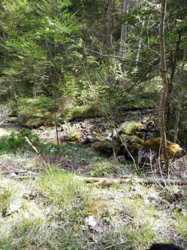 Hostal Pension Garni Hochmoos
