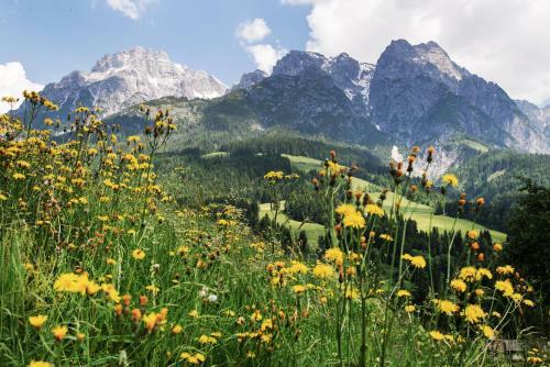 Apartamento Kaiserhaus Leogang