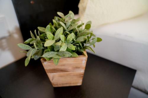 Apartment Jessica Mit Sauna Und Eigenem Garten