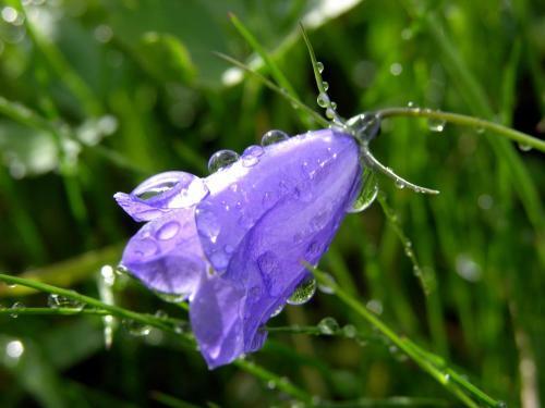 Apartamento Haus Strieder