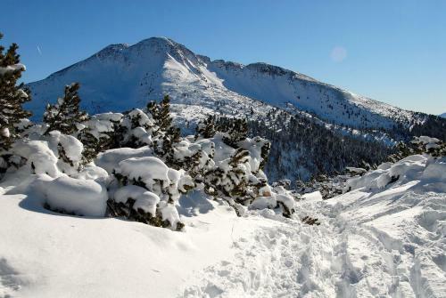 Apartamento Haus Strieder