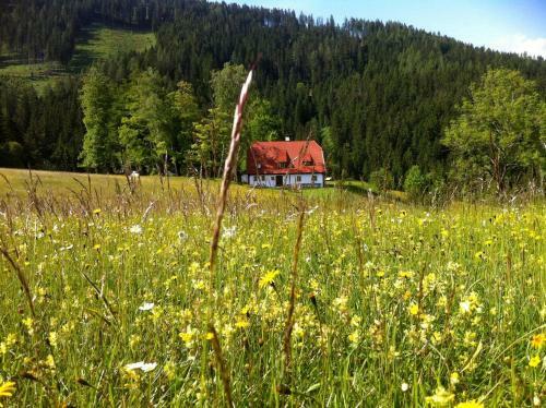 Chalet Hinterbreiteneben