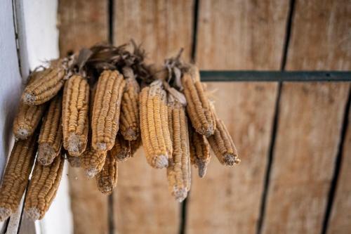 Aparthotel Tschardakenhof Appartements