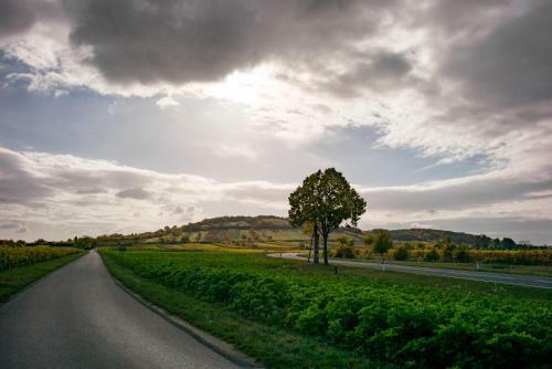 Aparthotel Tschardakenhof Appartements