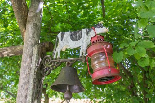 Apartamento Ferienwohnungen Knippschild