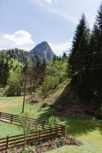 Apartamento Haus L�rchenau