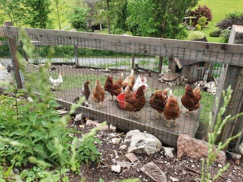 Apartamento Hilltop Appartement