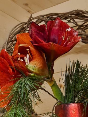 Apartamento Hilltop Appartement