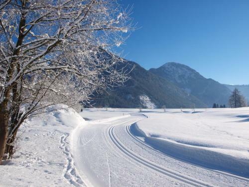 Hostal Pension Sonneck