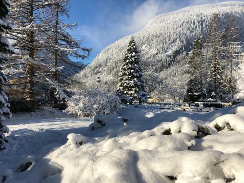 Apartamento Haus Central Lofer