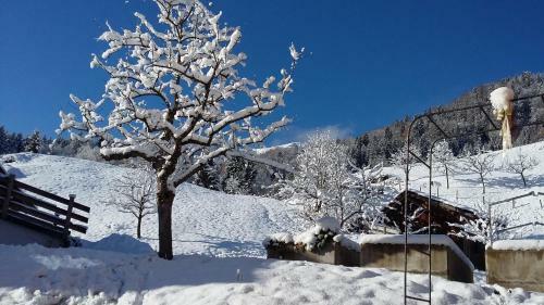 Apartamento Brandtner Brennerbauer