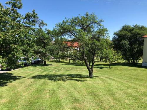 Hotel Gasthof Koller