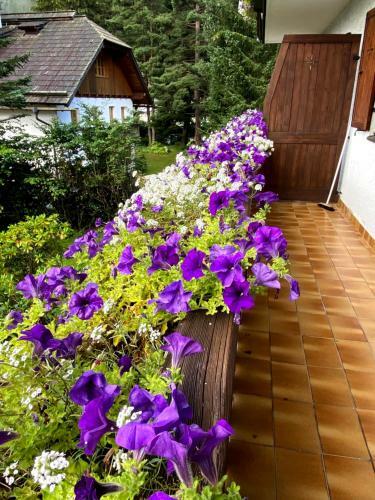 Apartamento Haus Jolomo