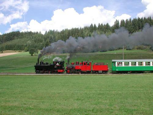 Bergchalet Am Tonim�rtlhof