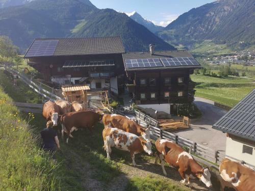 Agroturismo Bauernhof Bethuber