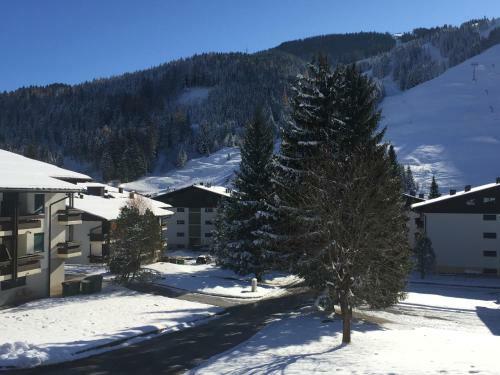 Apartamento Appartement Hochmais