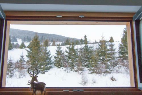 Apartamentos Chalet Traumblick