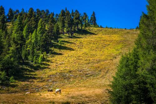 Lodge Ferienh�tte Hoitah�ttl