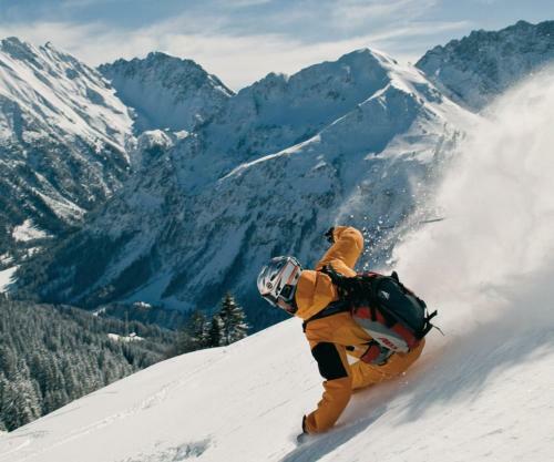 Aparthotel Mittelberg 333 Kleinwalsertal