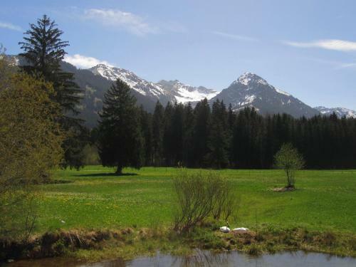 Aparthotel Mittelberg 333 Kleinwalsertal