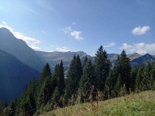 Aparthotel Mittelberg 333 Kleinwalsertal