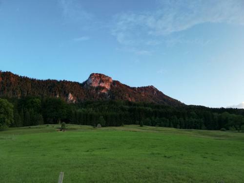 Apartamento Am Mondseeblick
